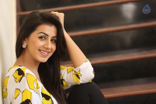 nikki galrani interview,krishnashtami movie,sunil,vasu varma  సినీజోష్ ఇంటర్వ్యూ-నిక్కీ గల్రాని